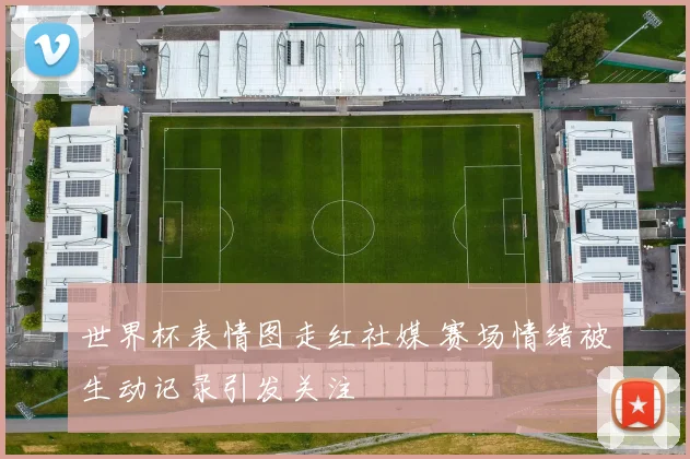 世界杯表情图走红社媒 赛场情绪被生动记录引发关注