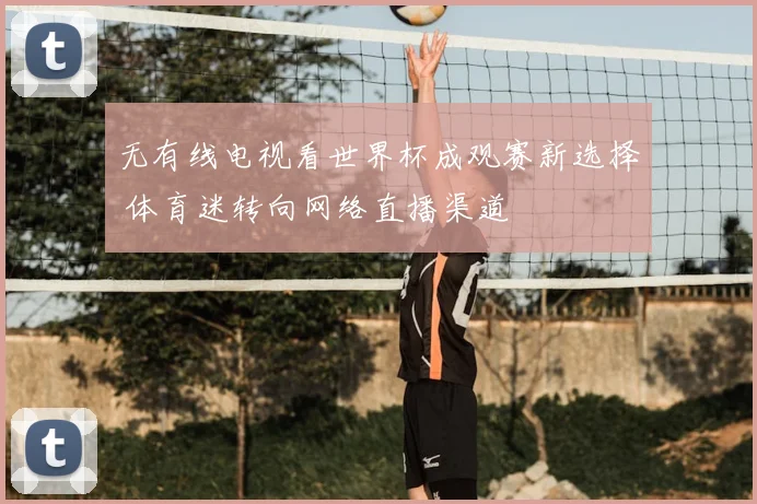 无有线电视看世界杯成观赛新选择 体育迷转向网络直播渠道