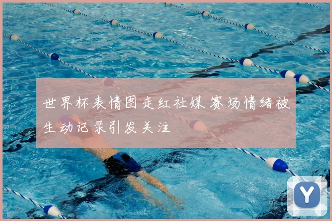 世界杯表情图走红社媒 赛场情绪被生动记录引发关注