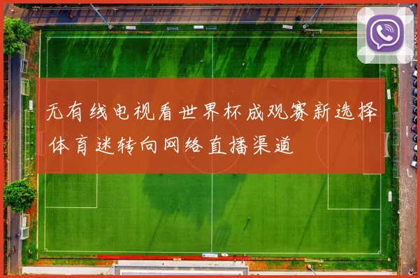 无有线电视看世界杯成观赛新选择 体育迷转向网络直播渠道